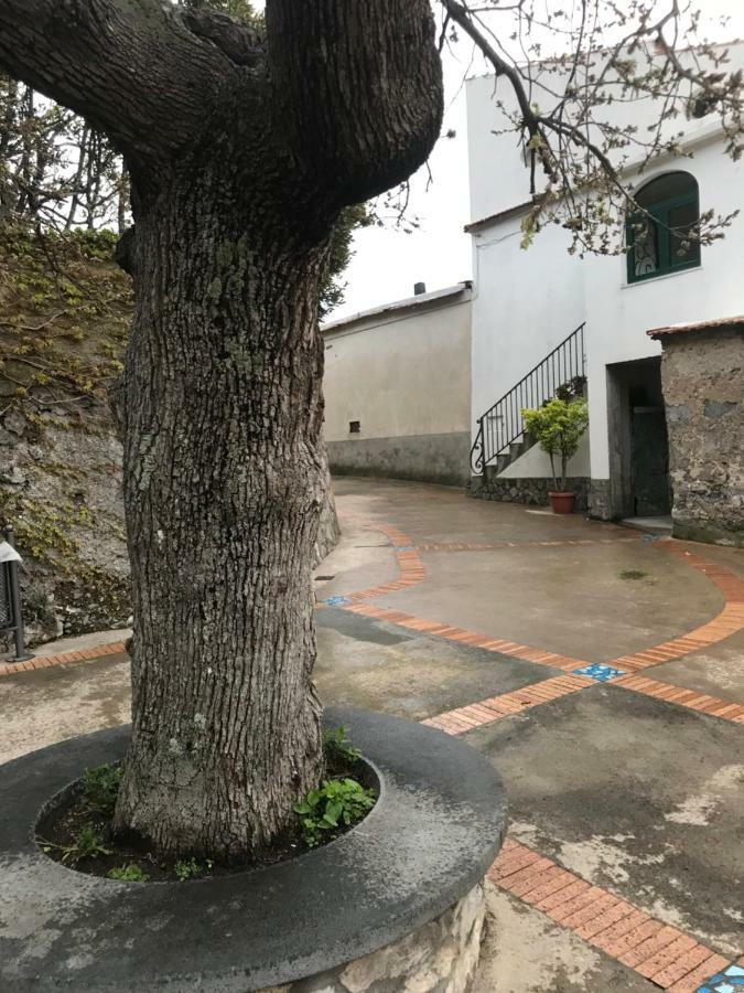 Maison Rosa Positano Dış mekan fotoğraf
