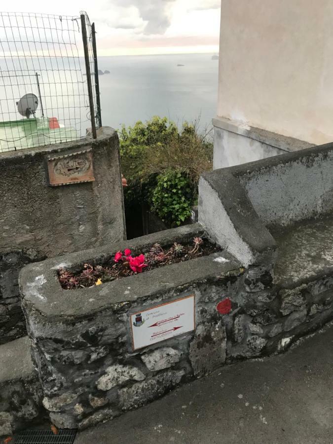 Maison Rosa Positano Dış mekan fotoğraf